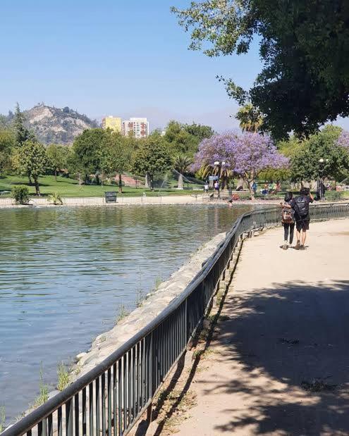 803 Atractivo apartamento a 1 cuadra del metro, 2 huespedes - Apartamento de 1 dormitorio - 6