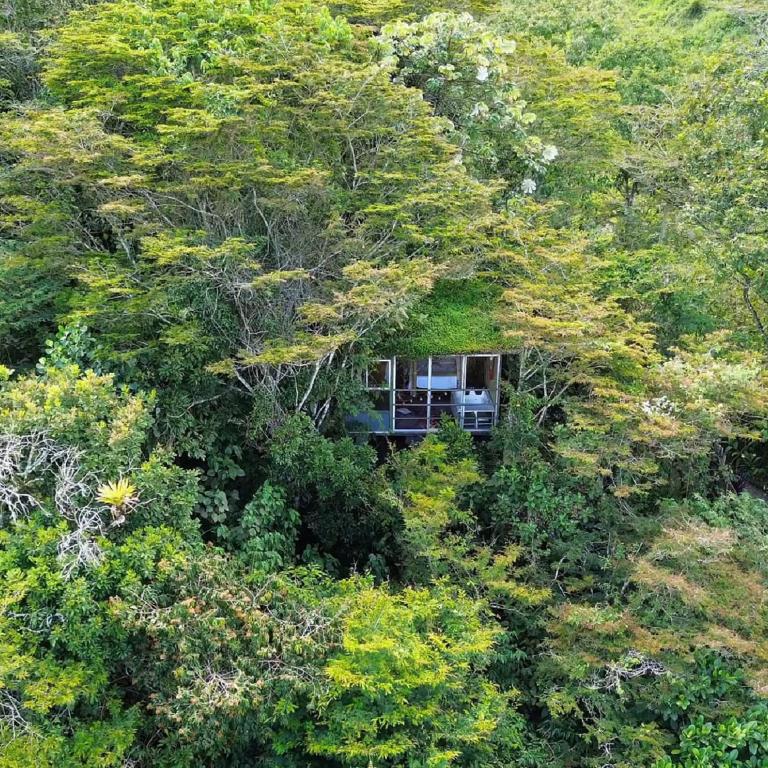 ANCESTRAL GLAMPING - Chalet de 1 dormitorio - 1