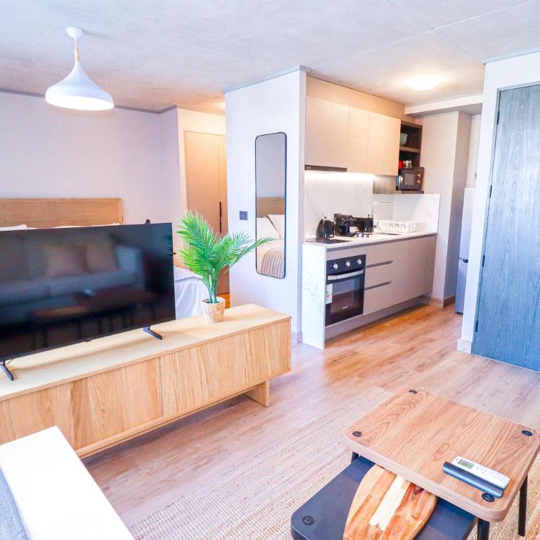 HOM I Barrio Italia I Providencia I WIFI I 2PAX GB502 - Apartment - 1