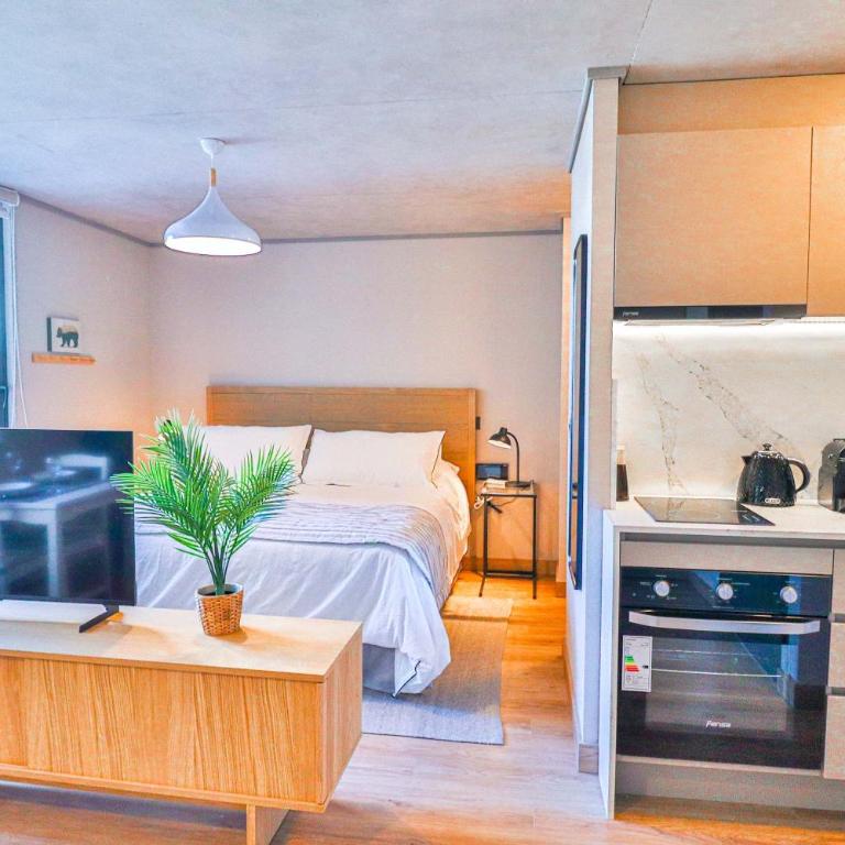 HOM I Barrio Italia I Providencia I WIFI I 2PAX GB502 - Apartment - 13