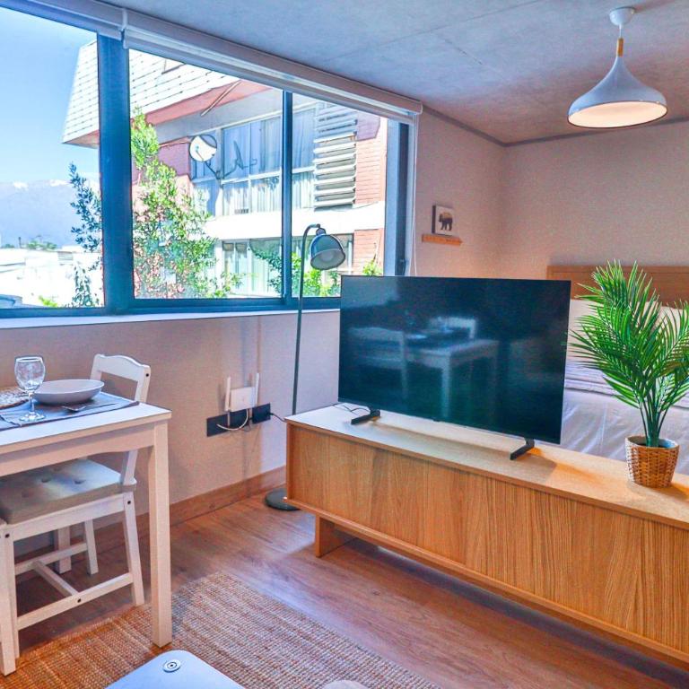 HOM I Barrio Italia I Providencia I WIFI I 2PAX GB502 - Apartment - 5