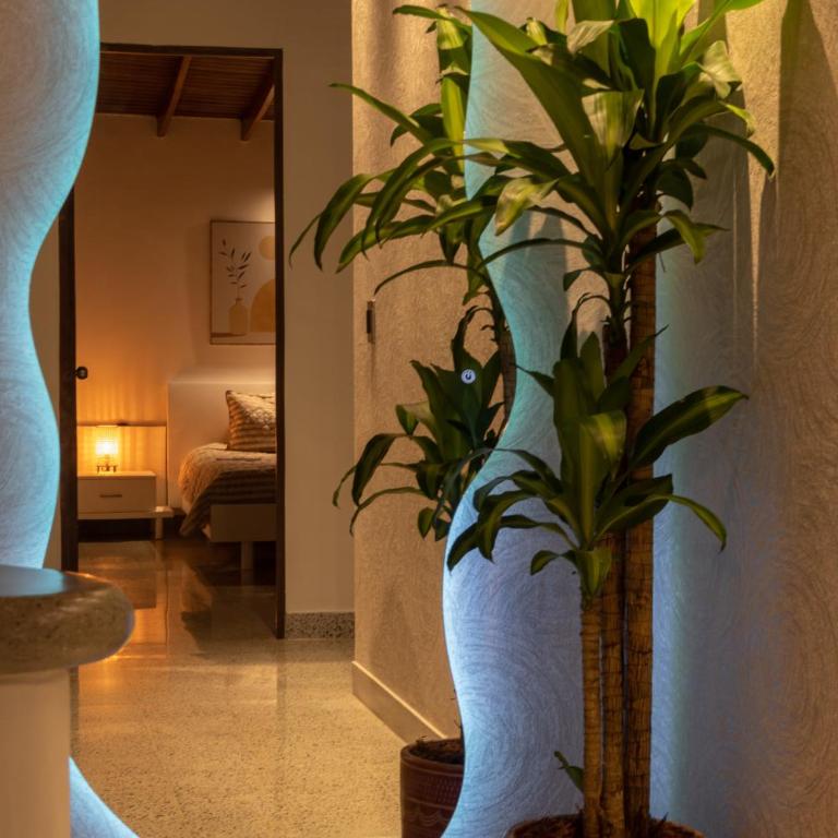 The Garden House - Laureles-Estadio-Metro - Five-Bedroom Premium Apartment - 54