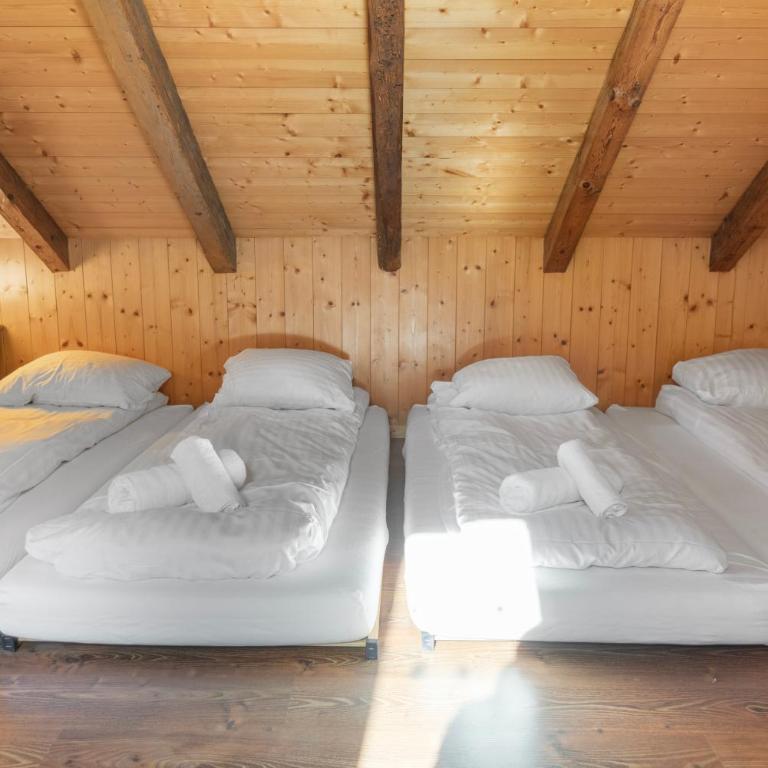 Gîte Salgesh - 16 pers & 16 lits - Terrasse - Nature - Haus mit 5 Schlafzimmern - 45