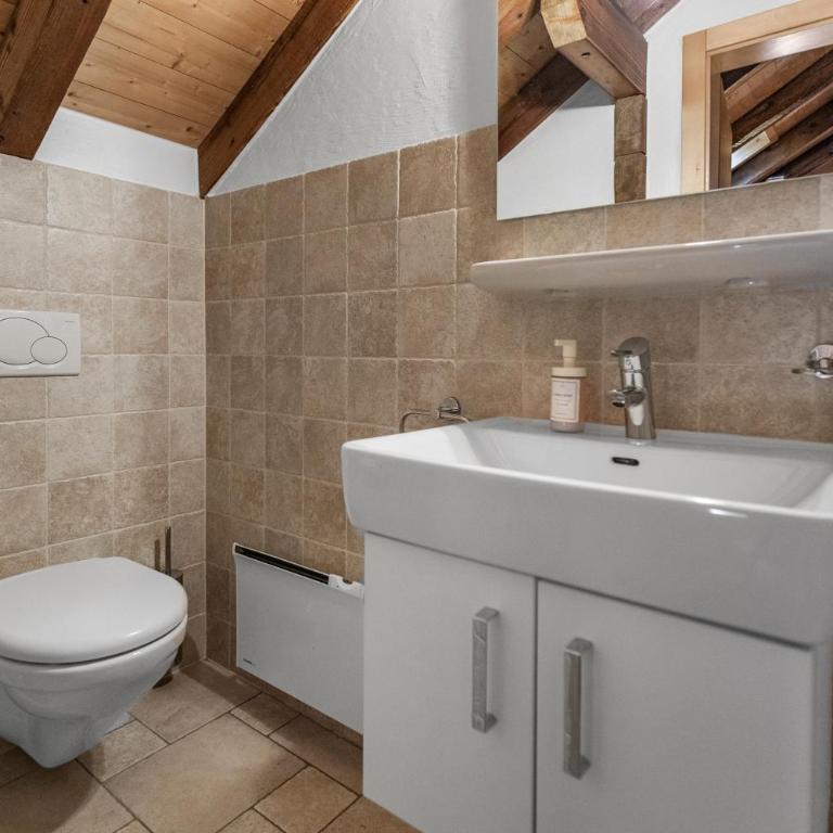 Gîte Salgesh - 16 pers & 16 lits - Terrasse - Nature - Haus mit 5 Schlafzimmern - 37