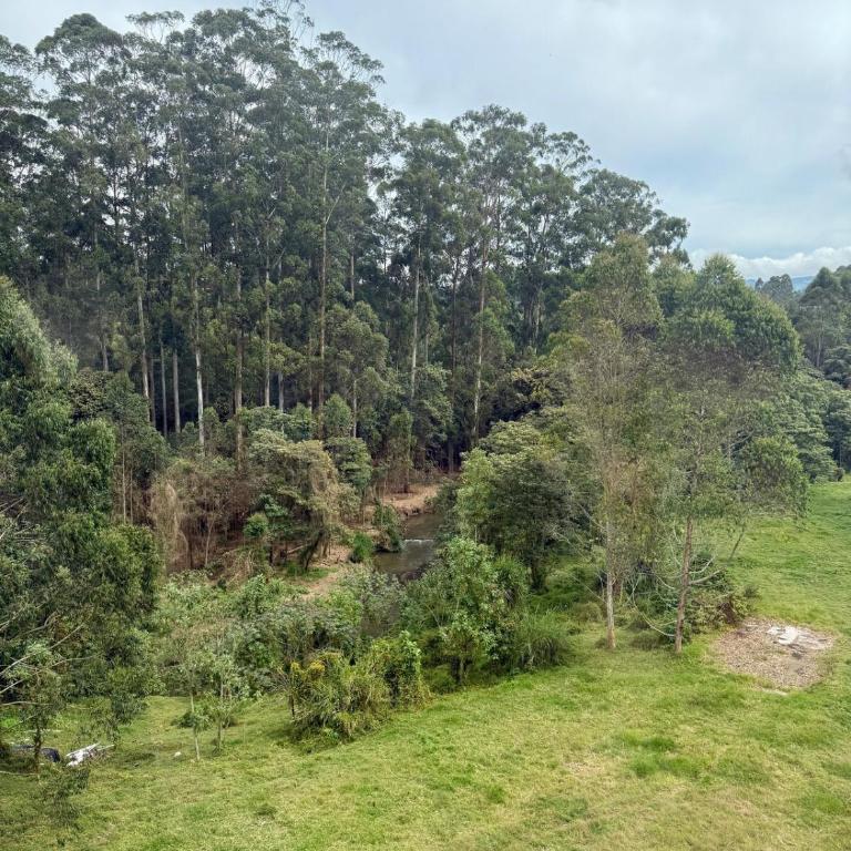 Comfortable apartment industrial look 2H, 2 wc - Apartamento de 2 dormitorios - 35