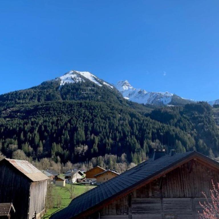 Spacious apartment with balcony in the French Alps - Appartement 3 Chambres - 14