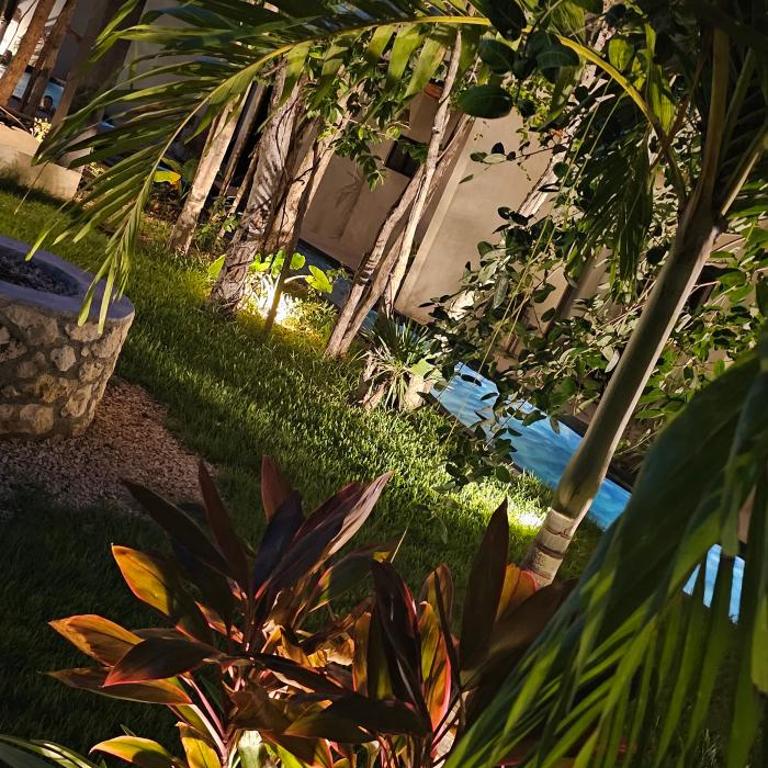 Luxury Penthouse with Private Plunge Pool in Tulum - Apartment - 7