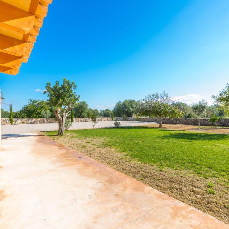 Can Fus - Villa de 1 dormitorio - 21