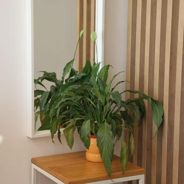 Valmere Apartment Tivat Sea View Free Parking - One-Bedroom Apartment - 21