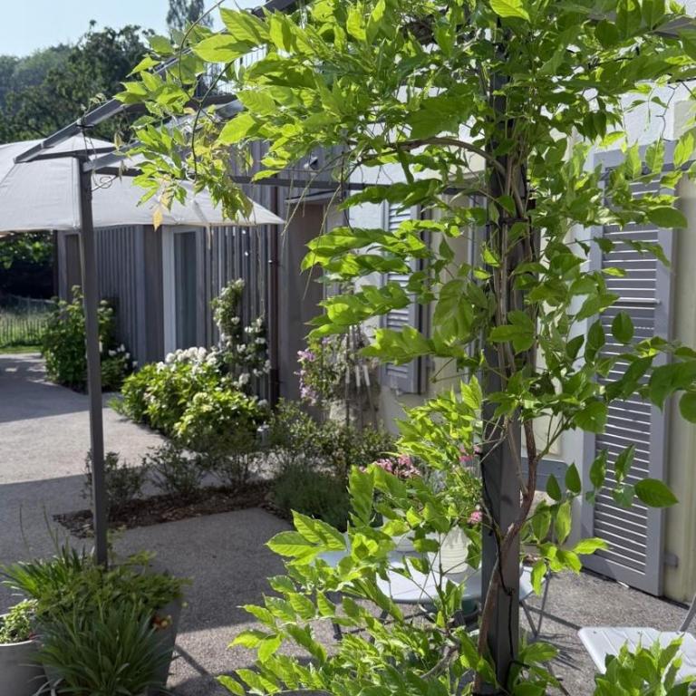 Le Hameau du Montchervet - Vierbettzimmer mit Terrasse - 7