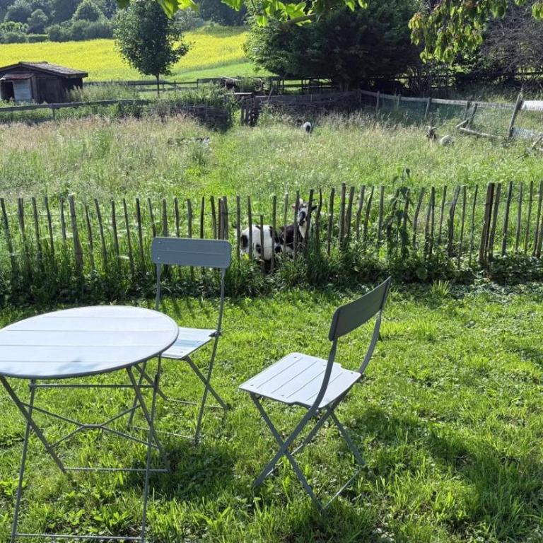 Le Hameau du Montchervet - Vierbettzimmer mit Terrasse - 10