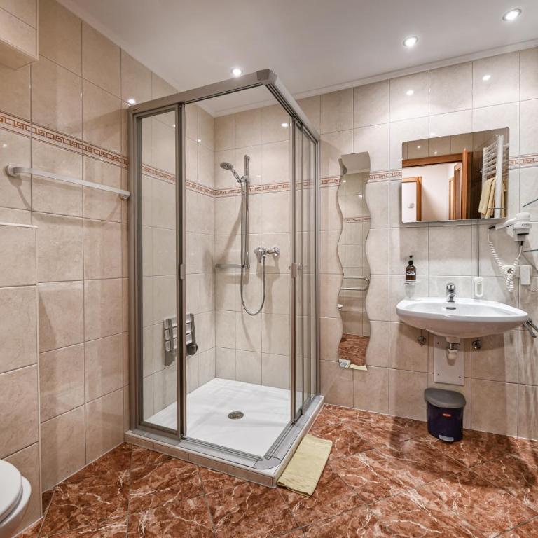 Ferienhaus Birgit - inklusive Eintritt Alpentherme Bad Hofgastein - Apartment - barrierefrei - 3