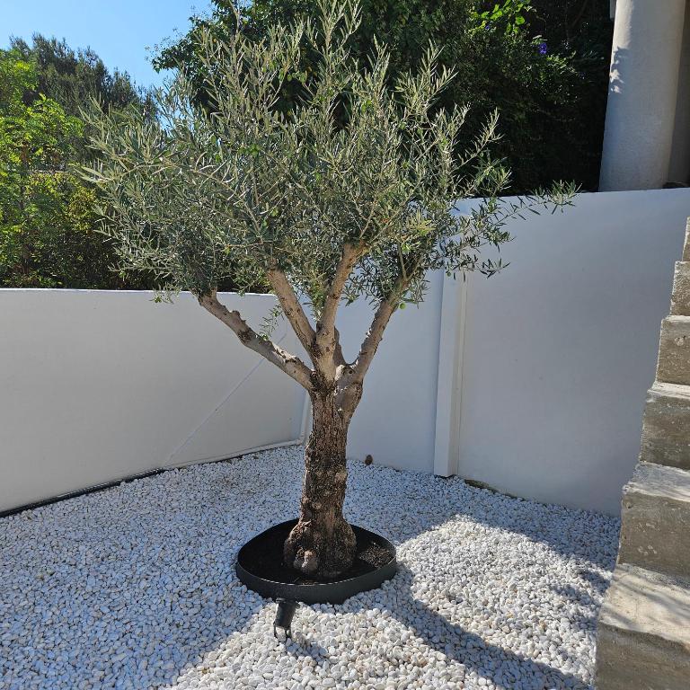 Villa Marenda - Villa 3 Chambres - 33