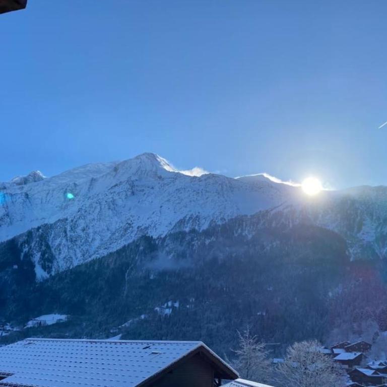 Studio cosy avec balcon vue Mont blanc Parking - Studio - 9