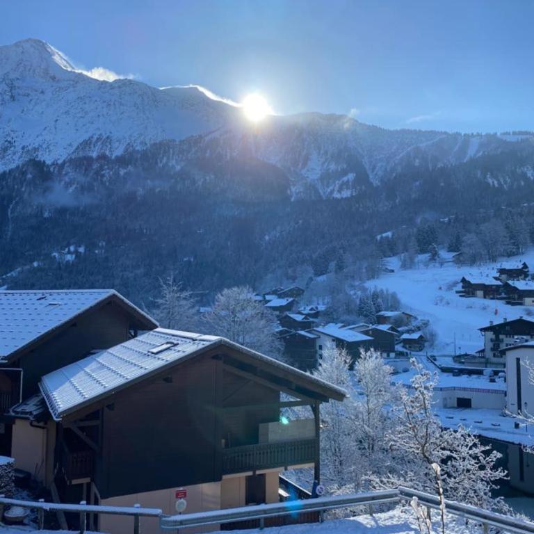 Studio cosy avec balcon vue Mont blanc Parking - Studio - 10