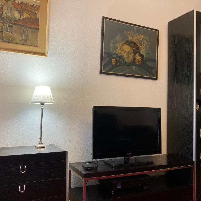 Galaxy apartment Belagrade - Apartman sa 2 Spavaće Sobe - 8