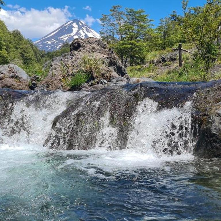 Tinaja, río y bosque en Conguillío - Tent - 21