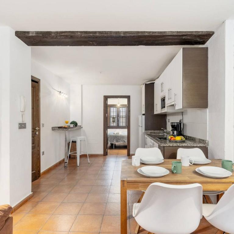 GATU a los pies de la Alhambra 1B - One-Bedroom Apartment - 12