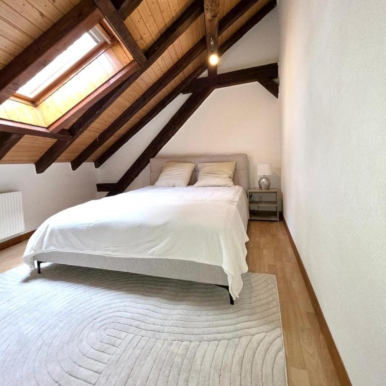 appartement confortable en centre ville - Appartement 2 Chambres - 8