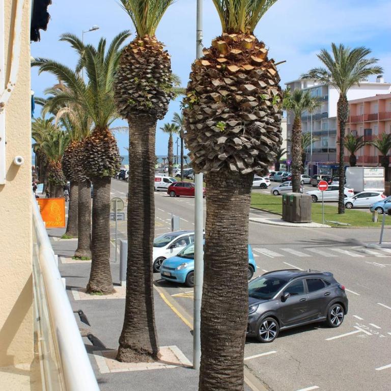 Agréable appartement T2 avec loggia proche commerces et plage - 4ALB24 - Appartement avec Terrasse - 9