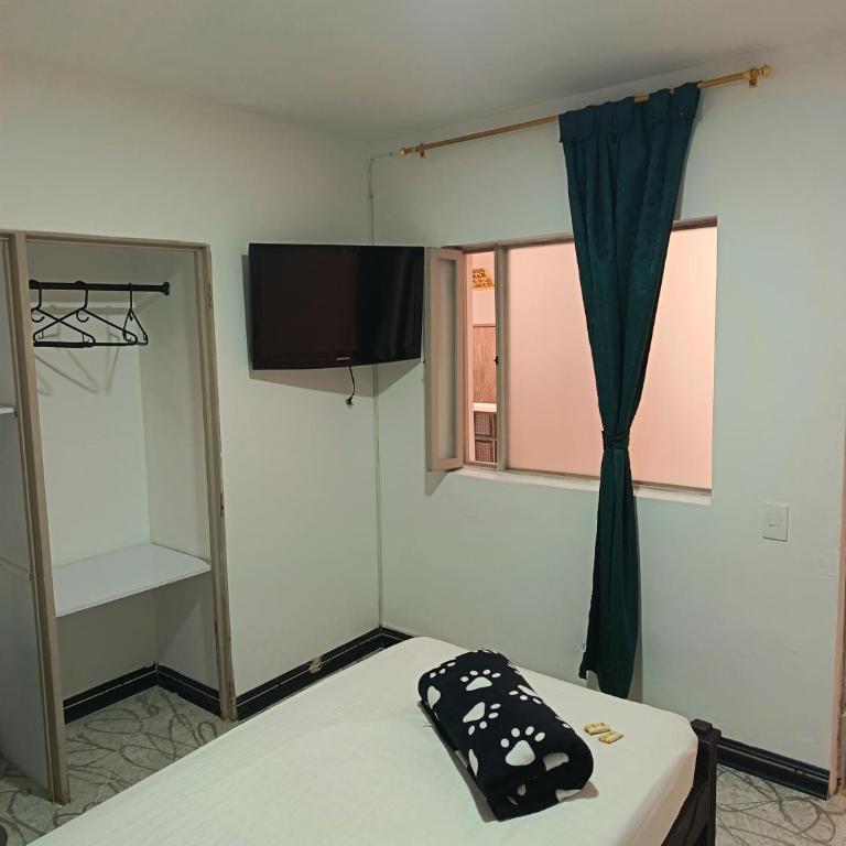Hotel Confort Boutique - Habitación Individual - 2