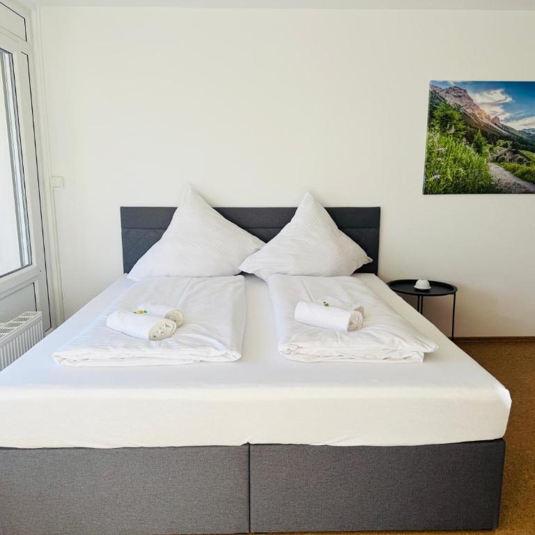 JJ Living - Bergzeit 160 - Appartamento con 2 Camere da Letto, Balcone e Terrazza - 23