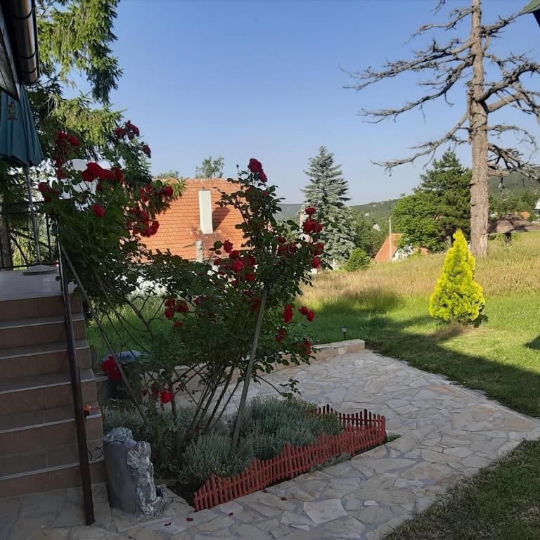 Sojka - Kuća sa 2 Spavaće Sobe - 6