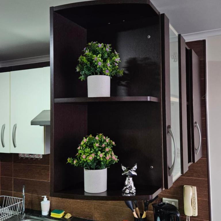 Departamentos Amoblados R&M - Apartamento Estándar de 1 dormitorio - 1