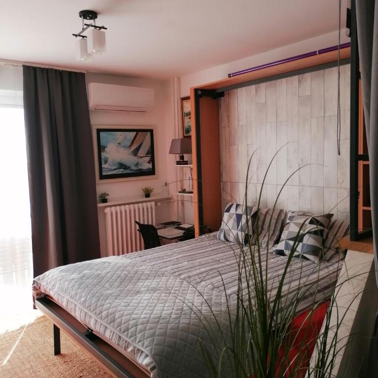 City Pioneer Apartmens - One-Bedroom Apartment - 1