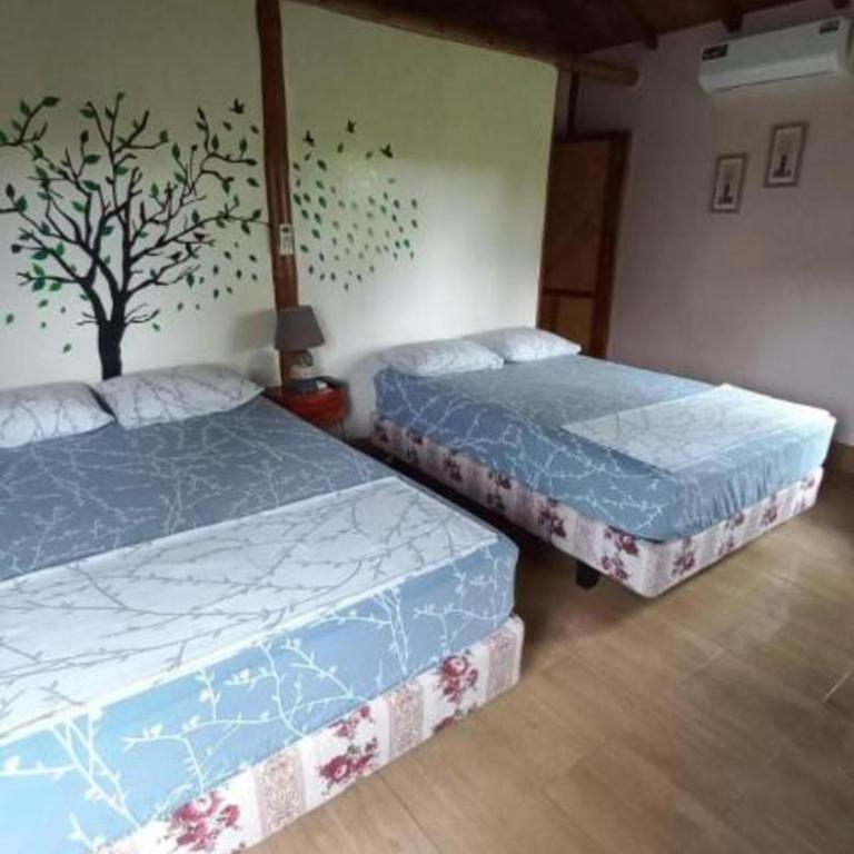 Cabaña Riviera Pacific - Habitación Familiar con vistas al jardín - 4