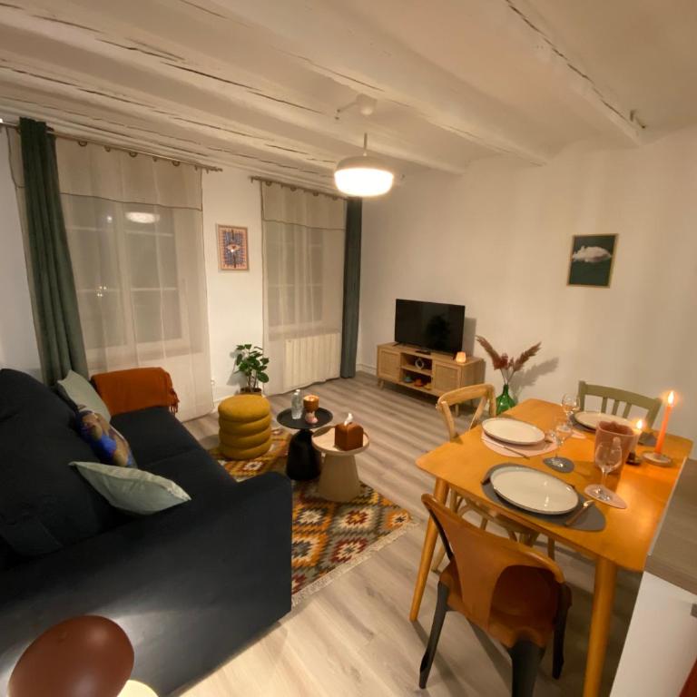 Les Cosy de Nancy - Le repère du roi stanislas 4étoiles - Appartement en Duplex - 16