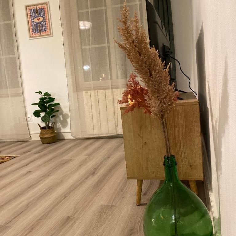 Les Cosy de Nancy - Le repère du roi stanislas 4étoiles - Appartement en Duplex - 22