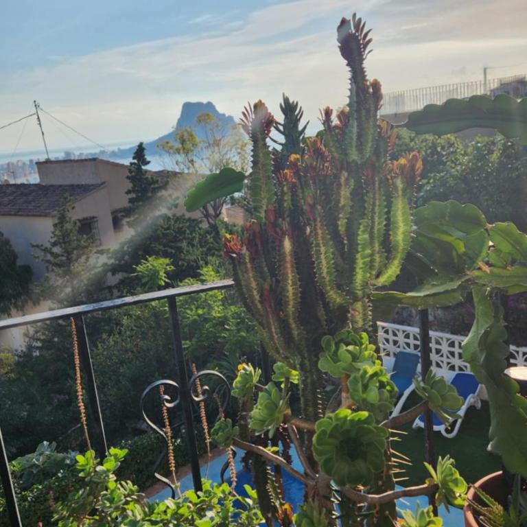 Laura Las Flores - Apartamento de 2 dormitorios - 23