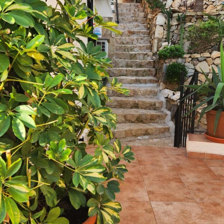 Laura Las Flores - Apartamento de 2 dormitorios - 29