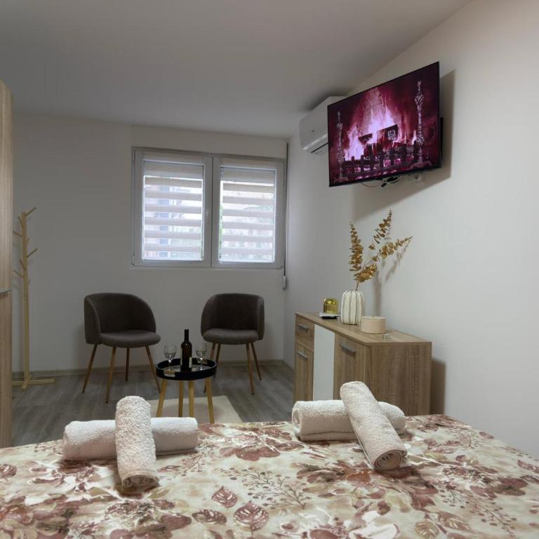 Relax Apartmani - blizu Neuromedic Niš - Superior Apartman sa 1 Spavaćom Sobom - 3