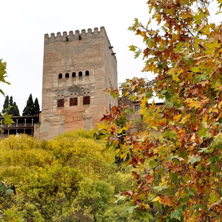 Home4U Paseo de los tristes - Vistas a la Alhambra - Three-Bedroom Apartment - 21