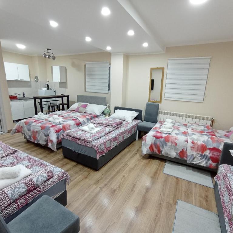 Apartments & Rooms -MDL Lazić - Apartman - Prizemlje - 1