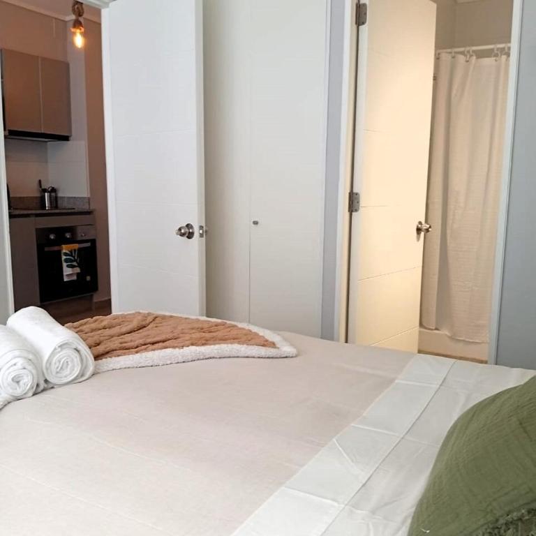 Park and Movistar Arenas D106 - One-Bedroom Apartment - 14