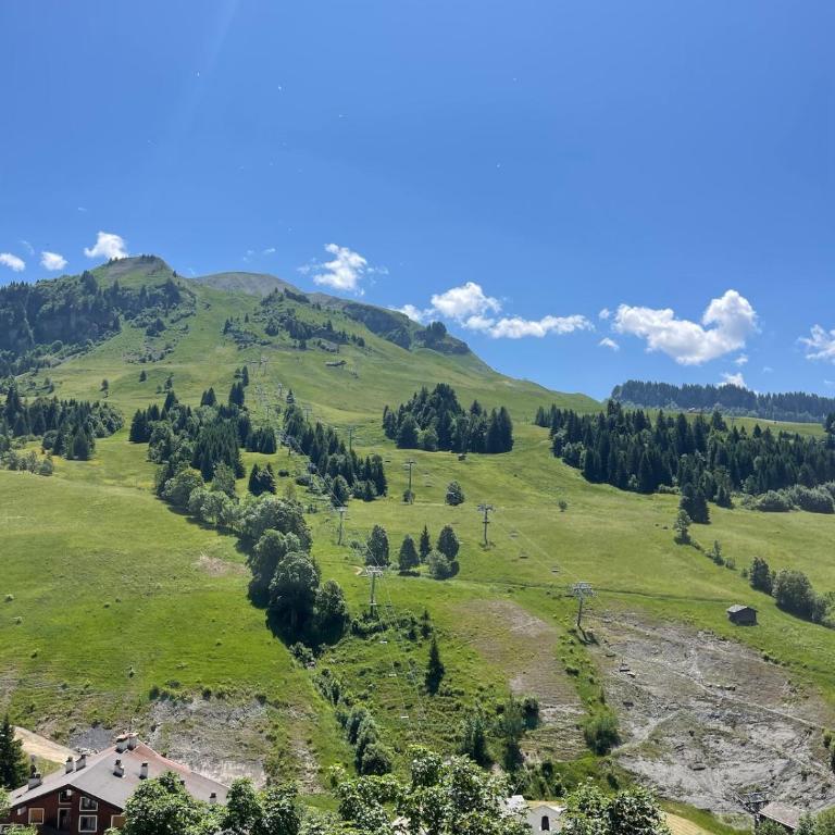 Appartement au Chinaillon 1350 - vue panoramique sur les montagne, -10' des pistes - Apartment mit 3 Schlafzimmern - 19