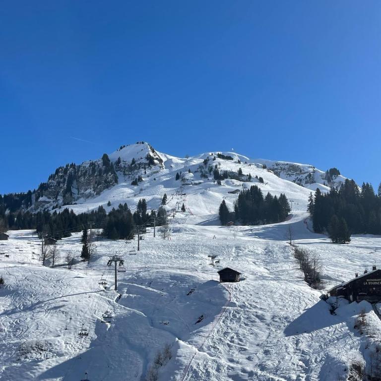 Appartement au Chinaillon 1350 - vue panoramique sur les montagne, -10' des pistes - Apartment mit 3 Schlafzimmern - 25