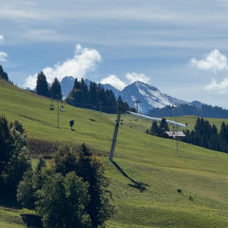 Appartement au Chinaillon 1350 - vue panoramique sur les montagne, -10' des pistes - Apartment mit 3 Schlafzimmern - 39