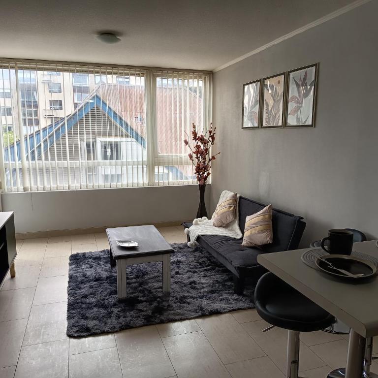Arriendo departamento a pasos de Mall Portal Temuco - Two-Bedroom Apartment - 6