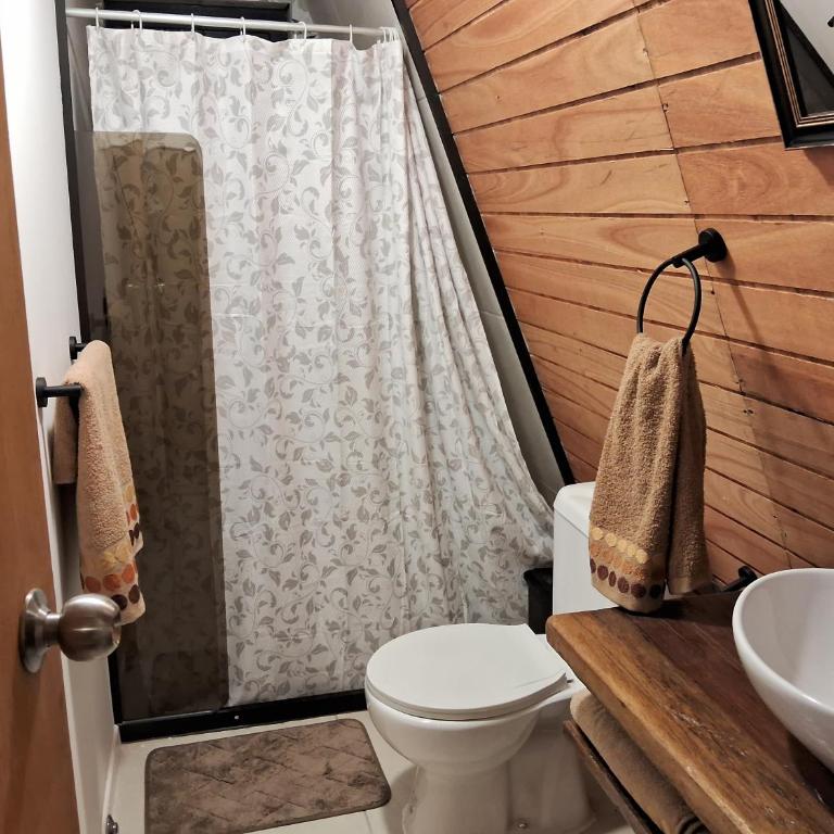 Alpinas del bosque - One-Bedroom Apartment - 5