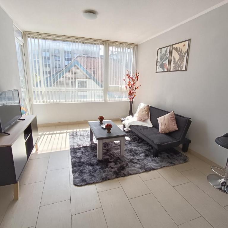 Arriendo departamento a pasos de Mall Portal Temuco - One-Bedroom Apartment - 4