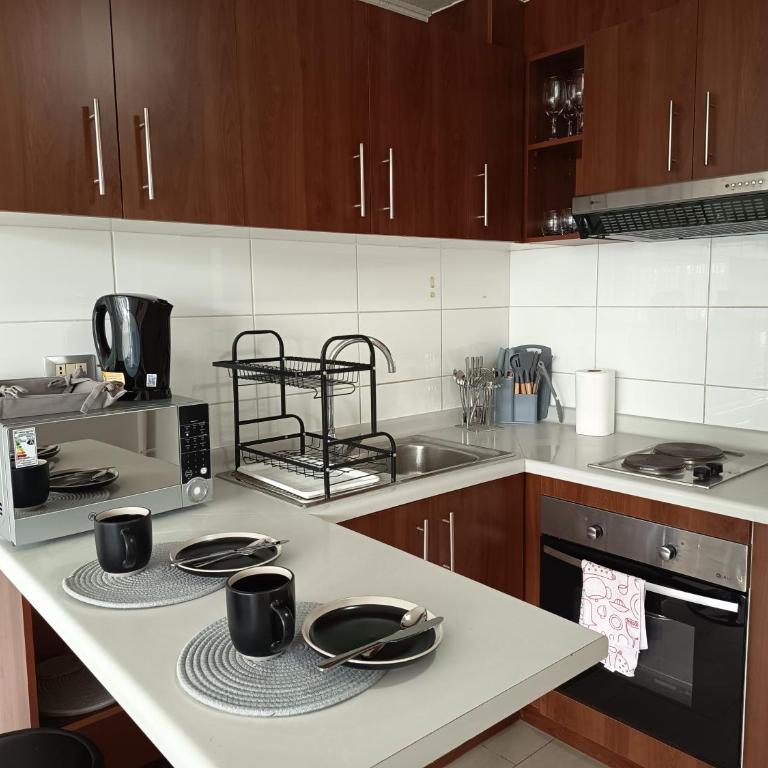 Arriendo departamento a pasos de Mall Portal Temuco - One-Bedroom Apartment - 14