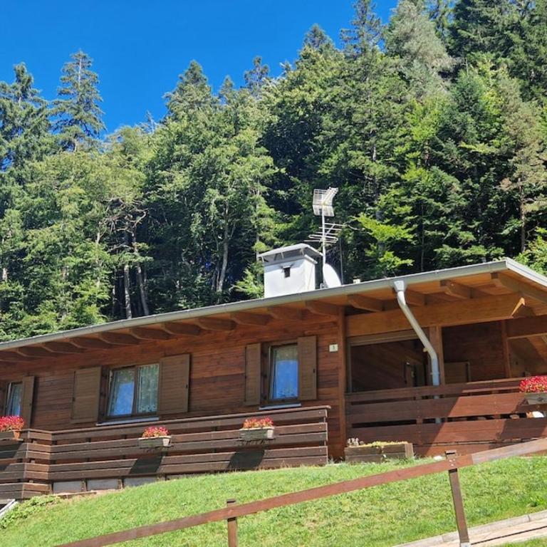 Chalet Lilly Andalo Relax & Sport - Chalet con 3 Camere da Letto - 12
