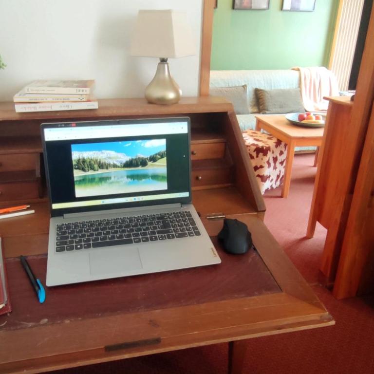 Appartement cosy cœur de station - Appartamento con Vista Montagna - 10
