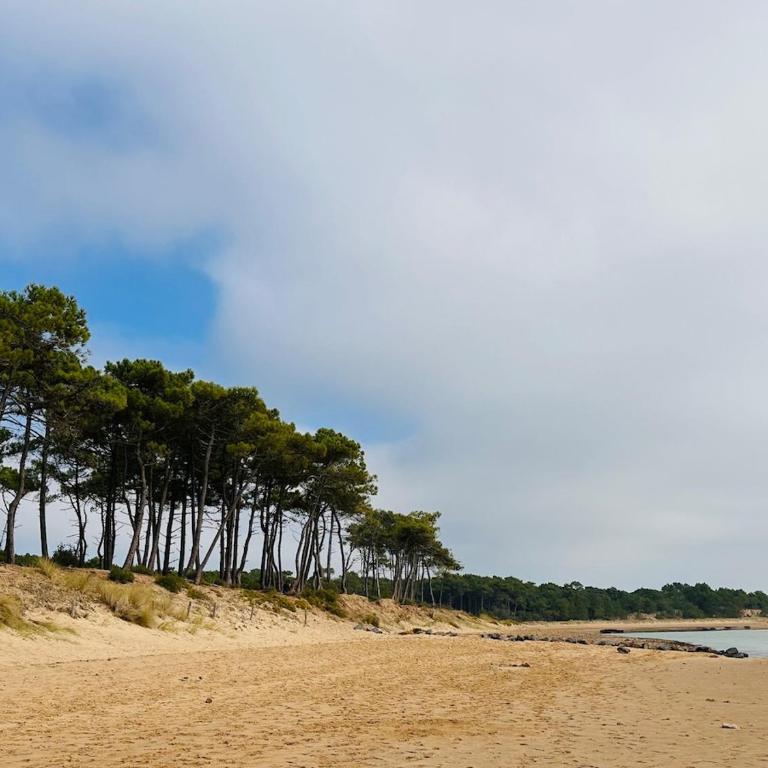 Apparemment cosy et au calme vue sur le golf - Appartement 1 Chambre - 17