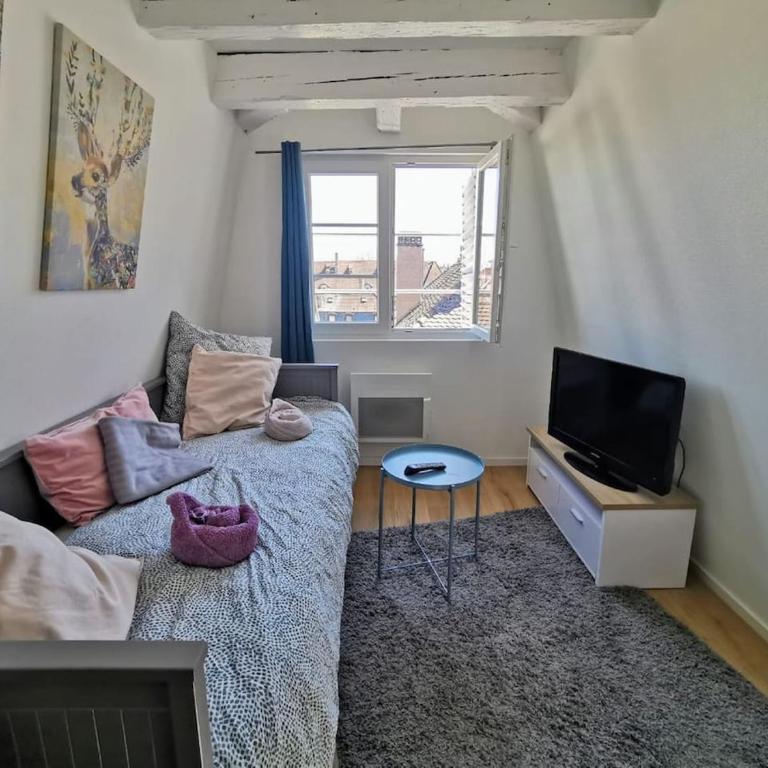 ** appartement cathédrale Strasbourg centre** - Apartamento de 1 dormitorio - 10