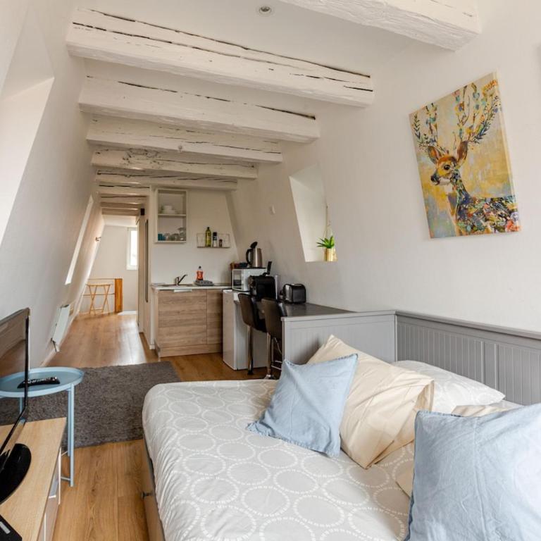 ** appartement cathédrale Strasbourg centre** - Apartamento de 1 dormitorio - 1